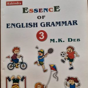 Essence of English grammar (3)