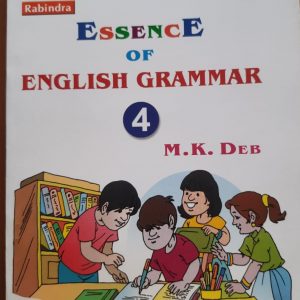 Essence of English grammar (4)